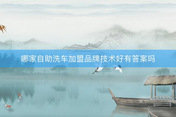 哪家自助洗车加盟品牌技术好有答案吗
