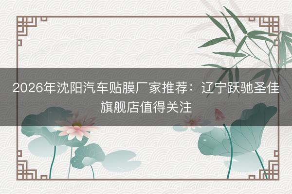 2026年沈阳汽车贴膜厂家推荐：辽宁跃驰圣佳旗舰店值得关注