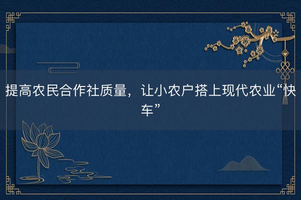 提高农民合作社质量,让小农户搭上现代农业“快车”