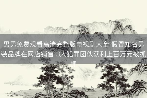 男男免费观看高清完整版电视剧大全 假冒知名男装品牌在网店销售 3人犯罪团伙获利上百万元被抓
