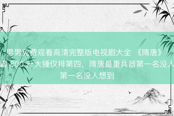 男男免费观看高清完整版电视剧大全 《隋唐》：李元霸 800 斤大锤仅排第四，隋唐最重兵器第一名没人想到