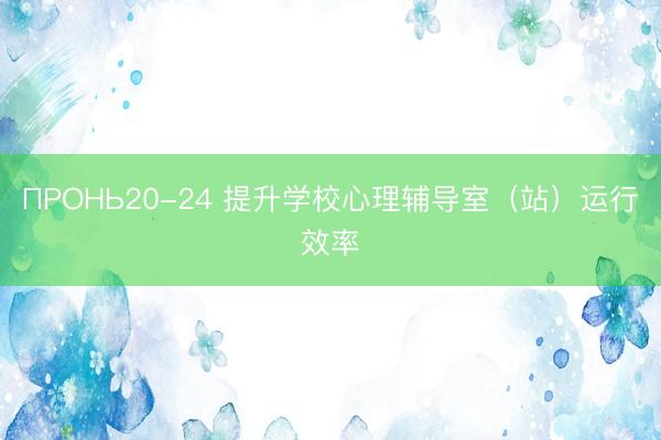 ПРОНЬ20-24 提升学校心理辅导室（站）运行效率