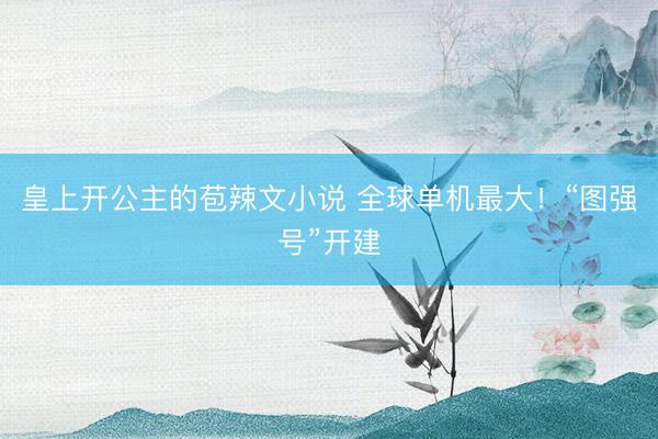 皇上开公主的苞辣文小说 全球单机最大！“图强号”开建