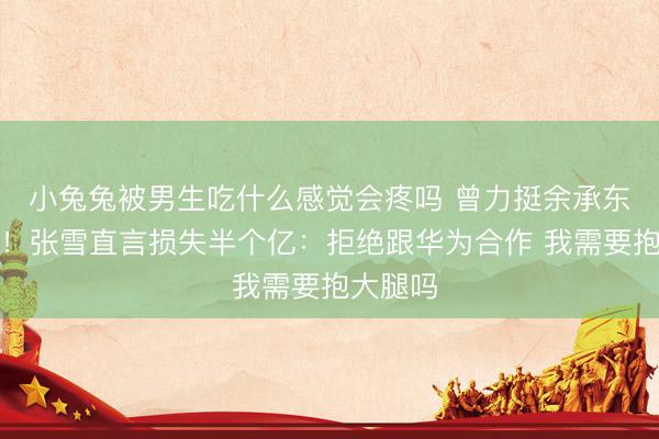 小兔兔被男生吃什么感觉会疼吗 曾力挺余承东很男人！张雪直言损失半个亿：拒绝跟华为合作 我需要抱大腿吗