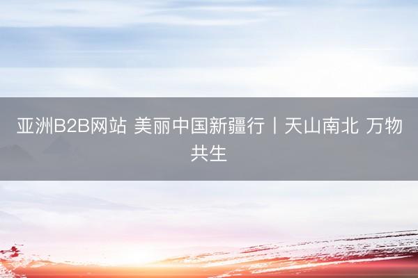 亚洲B2B网站 美丽中国新疆行丨天山南北 万物共生