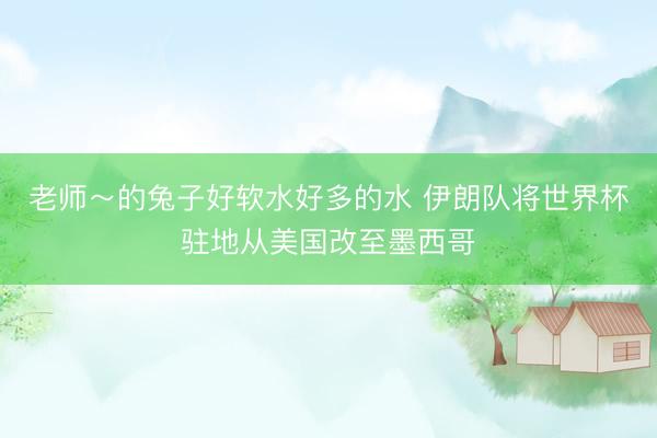 老师～的兔子好软水好多的水 伊朗队将世界杯驻地从美国改至墨西哥