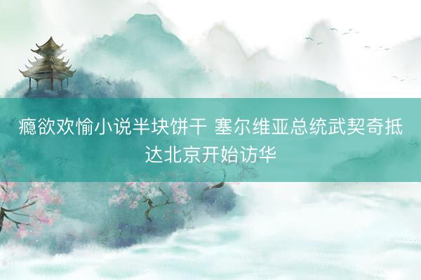 瘾欲欢愉小说半块饼干 塞尔维亚总统武契奇抵达北京开始访华