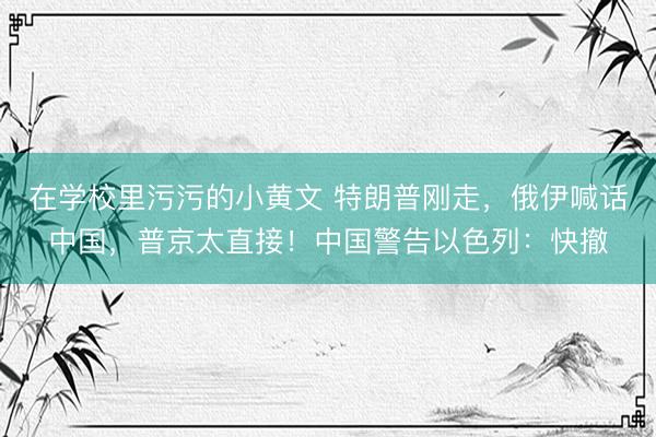 在学校里污污的小黄文 特朗普刚走，俄伊喊话中国，普京太直接！中国警告以色列：快撤