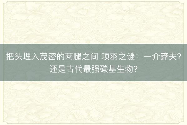 把头埋入茂密的两腿之间 项羽之谜：一介莽夫？还是古代最强碳基生物？