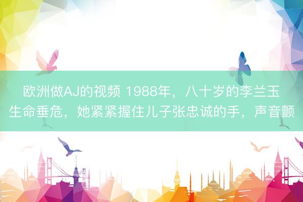 欧洲做AJ的视频 1988年，八十岁的李兰玉生命垂危，她紧紧握住儿子张忠诚的手，声音颤