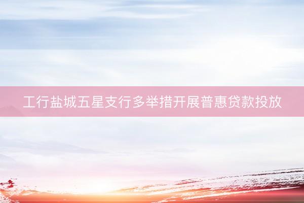 工行盐城五星支行多举措开展普惠贷款投放