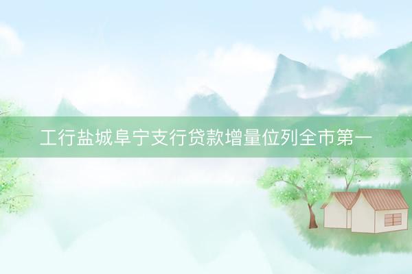 工行盐城阜宁支行贷款增量位列全市第一