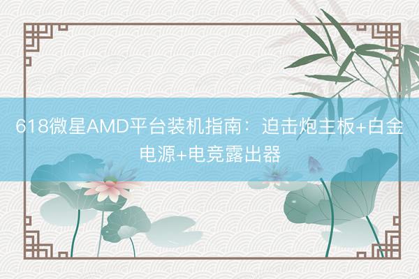 618微星AMD平台装机指南：迫击炮主板+白金电源+电竞露出器
