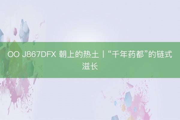 OO J867DFX 朝上的热土丨“千年药都”的链式滋长