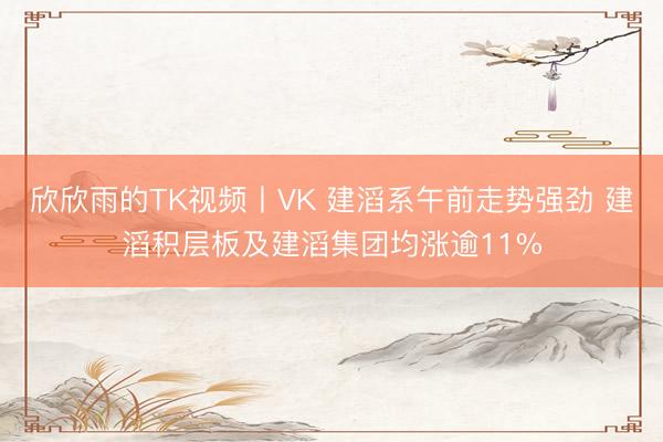 欣欣雨的TK视频丨VK 建滔系午前走势强劲 建滔积层板及建滔集团均涨逾11%