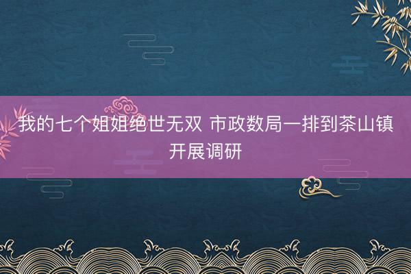 我的七个姐姐绝世无双 市政数局一排到茶山镇开展调研