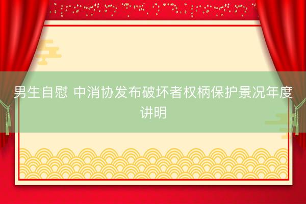 男生自慰 中消协发布破坏者权柄保护景况年度讲明
