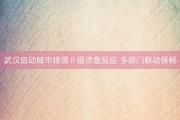 武汉启动城市排涝Ⅱ级济急反应 多部门联动保畅