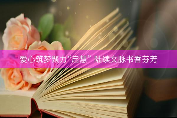 爱心筑梦聚力“启慧” 陆续文脉书香芬芳
